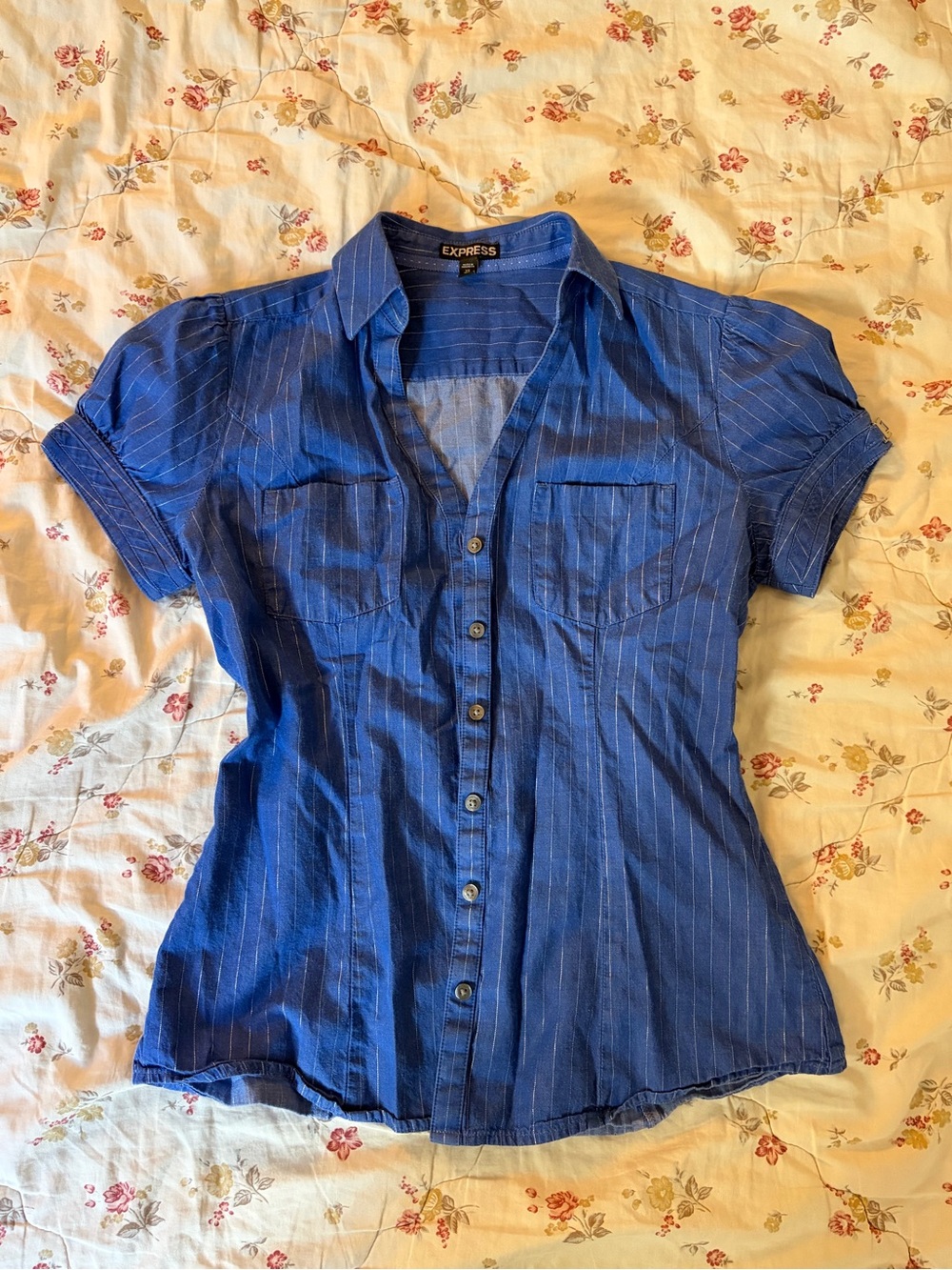 Express Women's Royal Blue Pinstripe Button-Down Shirt